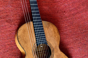 Guitare théorbée